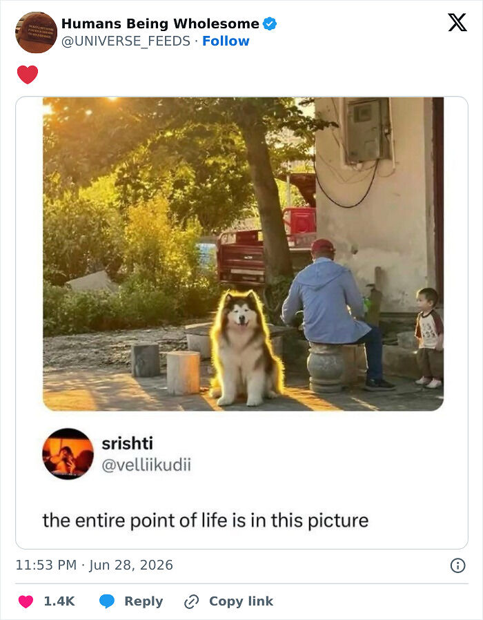 48 Wholesome Moments People Shared Online That Might Heal Your Soul
