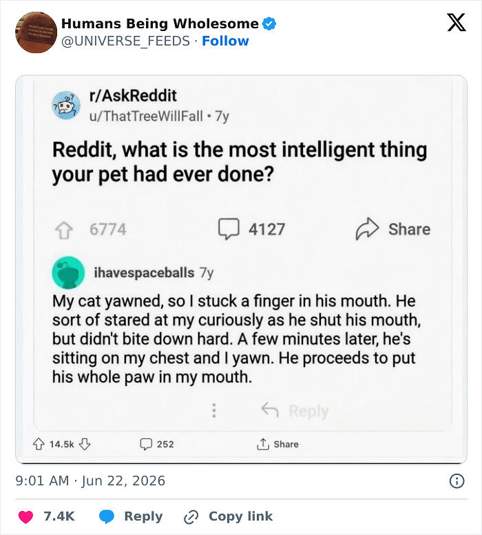 48 Wholesome Moments People Shared Online That Might Heal Your Soul
