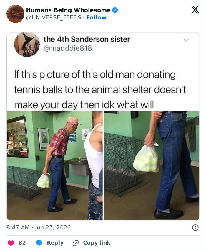 48 Wholesome Moments People Shared Online That Might Heal Your Soul