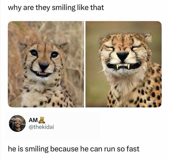 37 Memes That Help You Procrastinate Like Nothing Else Can