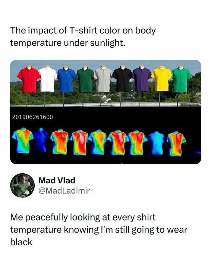 37 Memes That Help You Procrastinate Like Nothing Else Can