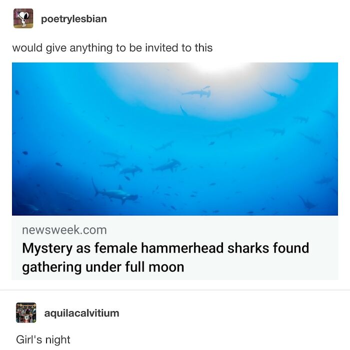 74 Memes That Might Prove Millennials Have The Best Sense Of Humor (New Pics)