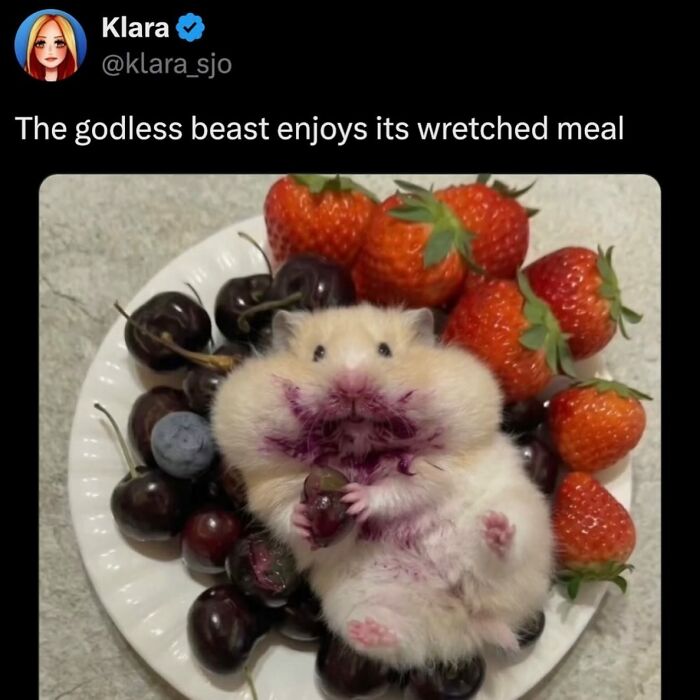 74 Memes That Might Prove Millennials Have The Best Sense Of Humor (New Pics)