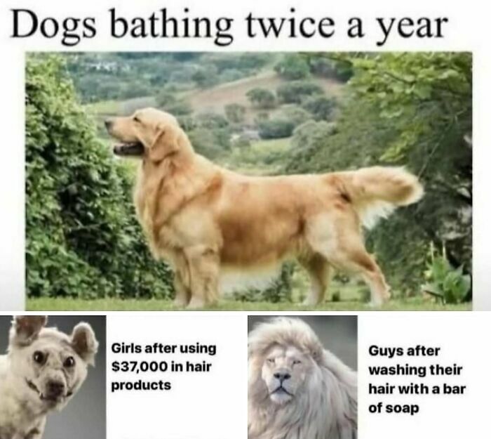 77 Relatable Memes To Send To Your Friends While Saying “Same”