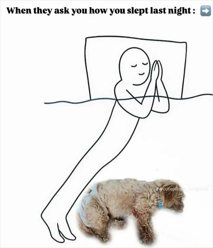 77 Relatable Memes To Send To Your Friends While Saying “Same”