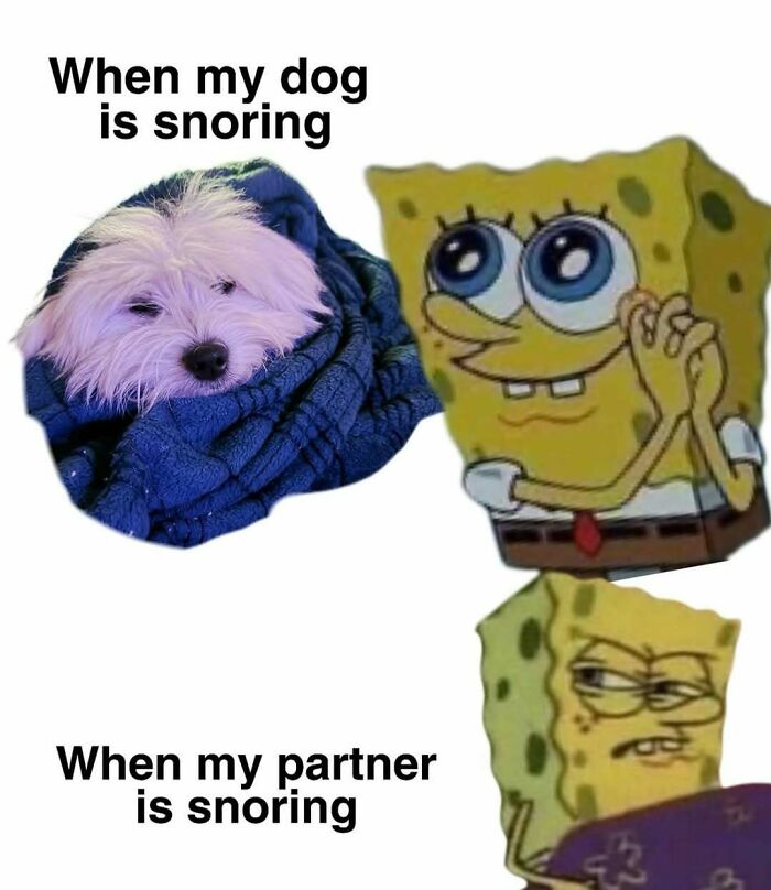 77 Relatable Memes To Send To Your Friends While Saying “Same”