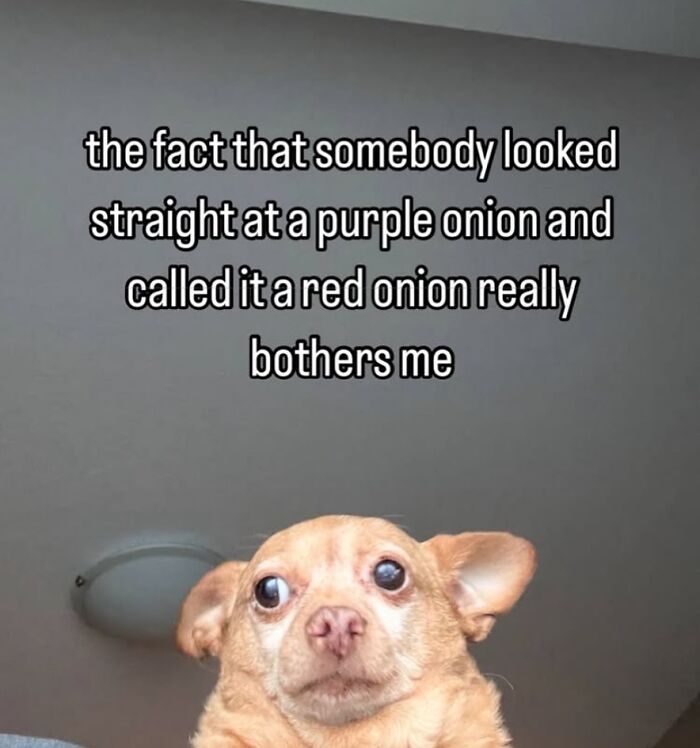 77 Relatable Memes To Send To Your Friends While Saying “Same”