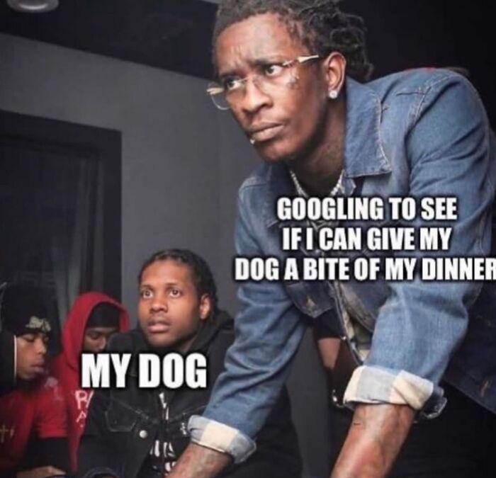 77 Relatable Memes To Send To Your Friends While Saying “Same”
