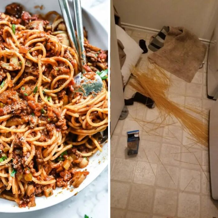 61 Times People Tried To Cook And Realized They Should Never Do That Again 61 Times People Tried To Cook And Realized They Should Never Do That Again