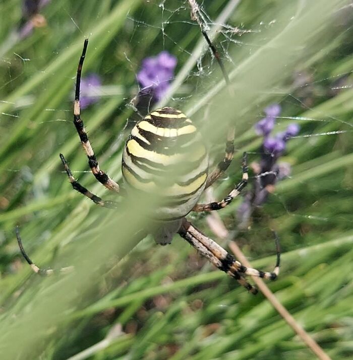 95 Wildlife Photos So Bad They Somehow Circle Back To Being Brilliant