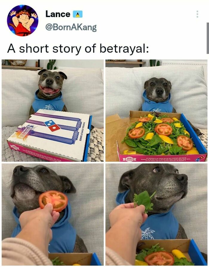 56 Funny Memes To Give Your Brain The Chaotic Little Break It Desperately Needs