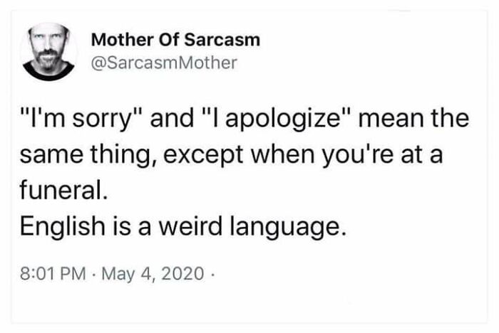 56 Funny Memes To Give Your Brain The Chaotic Little Break It Desperately Needs