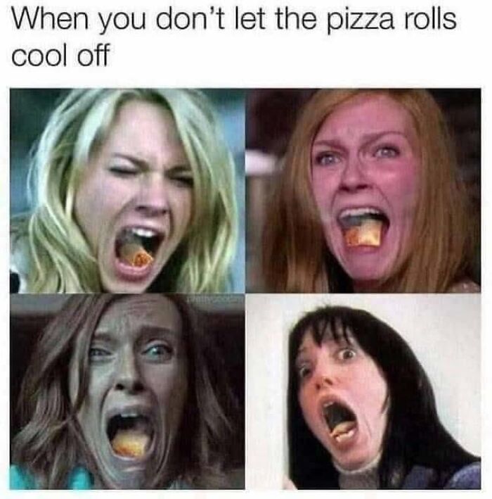 56 Funny Memes To Give Your Brain The Chaotic Little Break It Desperately Needs