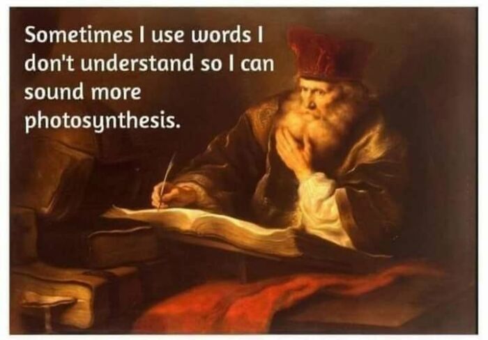 56 Funny Memes To Give Your Brain The Chaotic Little Break It Desperately Needs