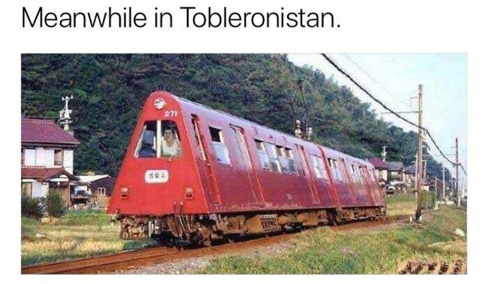 56 Funny Memes To Give Your Brain The Chaotic Little Break It Desperately Needs