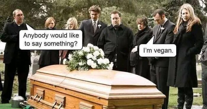 56 Funny Memes To Give Your Brain The Chaotic Little Break It Desperately Needs