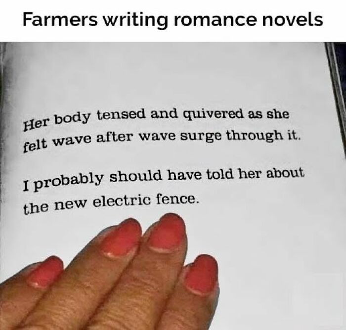56 Funny Memes To Give Your Brain The Chaotic Little Break It Desperately Needs