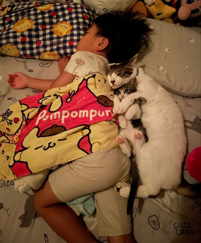This Page Shared 34 New Pics Of Animals Which Turned Ordinary Situations Into Pure Comedy