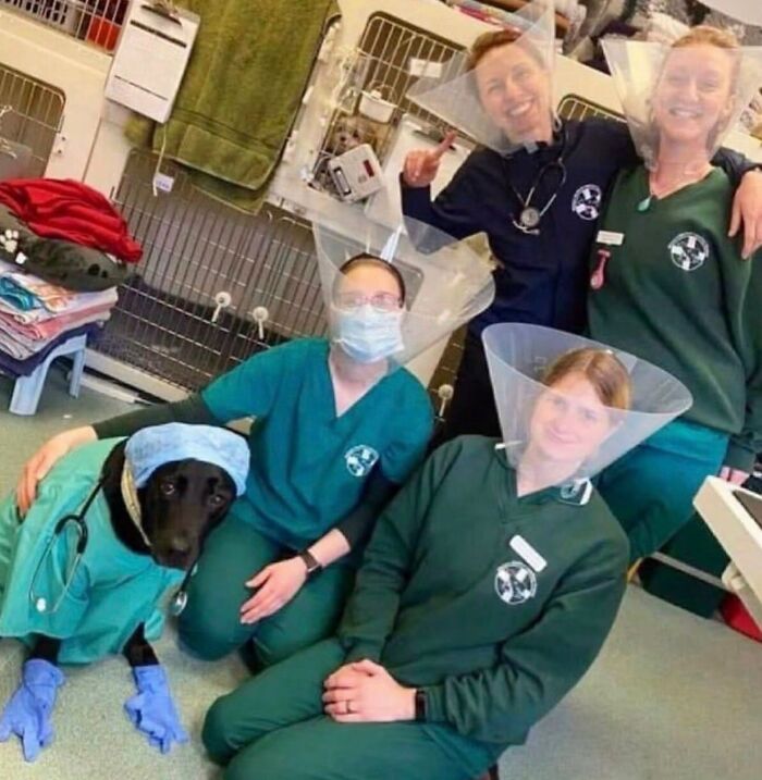This Page Shared 34 New Pics Of Animals Which Turned Ordinary Situations Into Pure Comedy