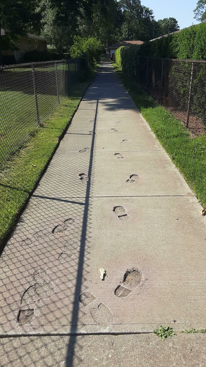 74 People Who Had Exactly One Job And Still Found A Way To Hilariously Mess It Up