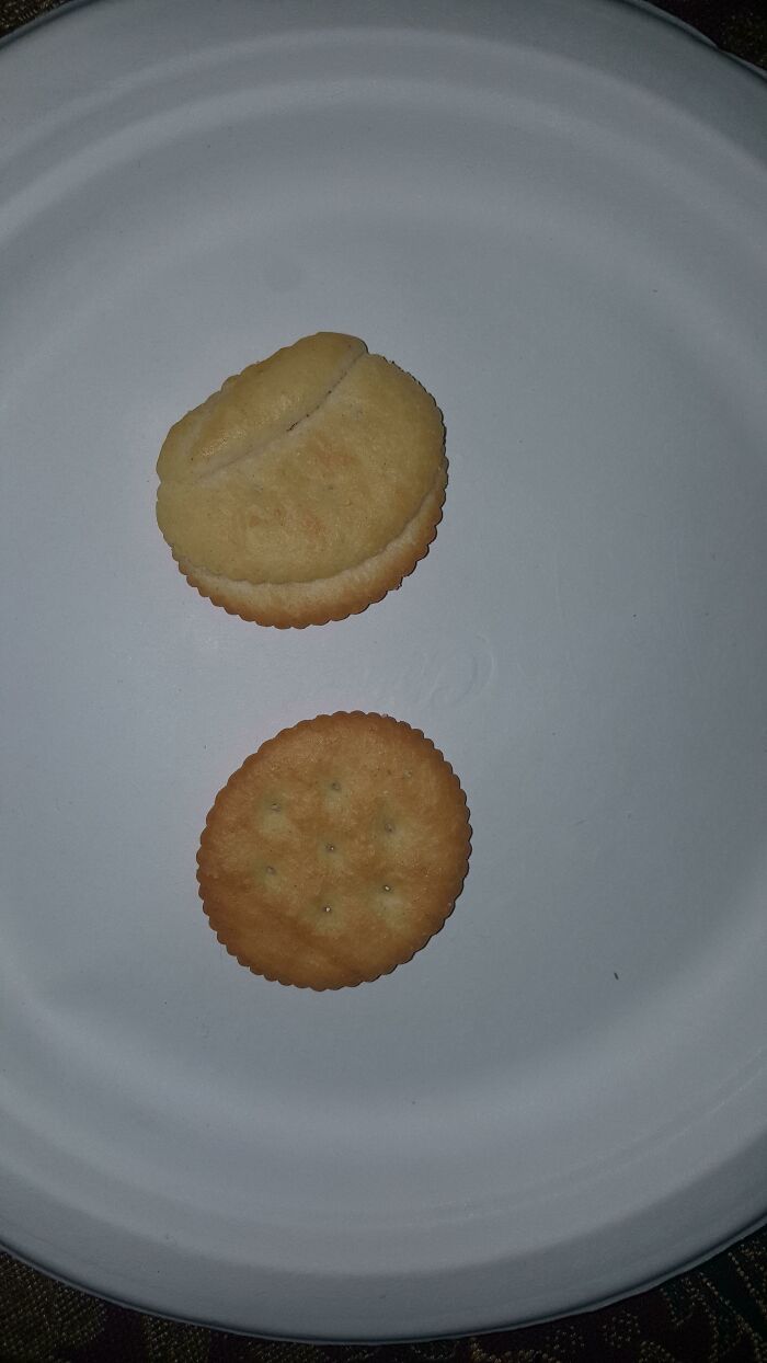 74 People Who Had Exactly One Job And Still Found A Way To Hilariously Mess It Up