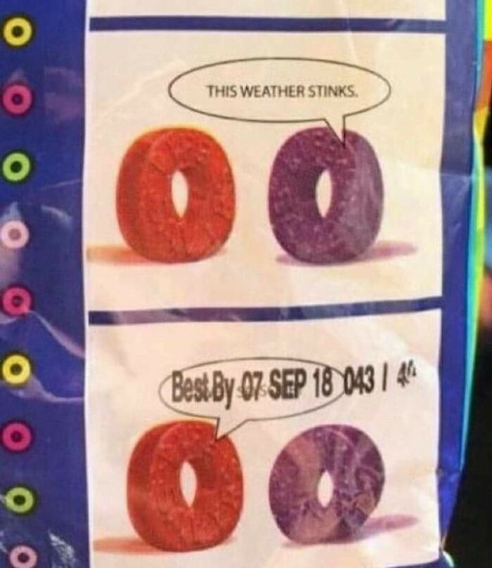 74 People Who Had Exactly One Job And Still Found A Way To Hilariously Mess It Up