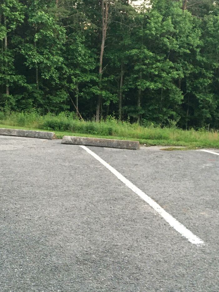 74 People Who Had Exactly One Job And Still Found A Way To Hilariously Mess It Up
