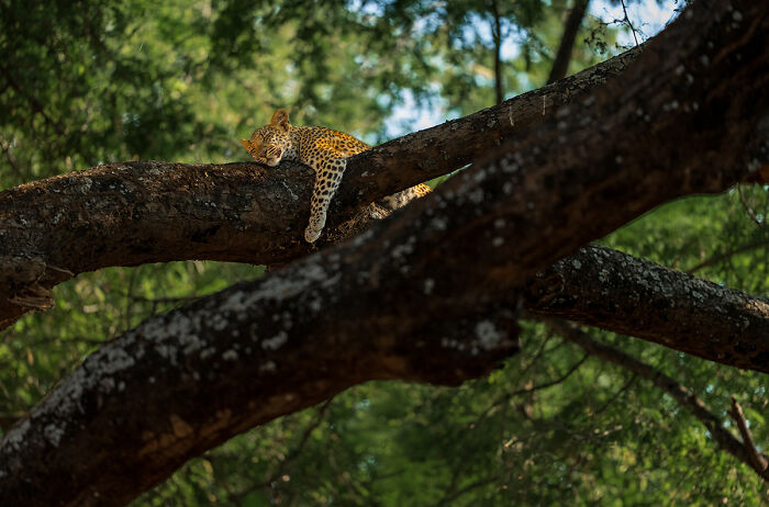 25 Winning Photos From AAP Magazine Show The Natural World In A New Light 25 Winning Photos From AAP Magazine Show The Natural World In A New Light