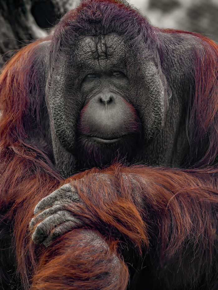 25 Winning Photos From AAP Magazine Show The Natural World In A New Light 25 Winning Photos From AAP Magazine Show The Natural World In A New Light
