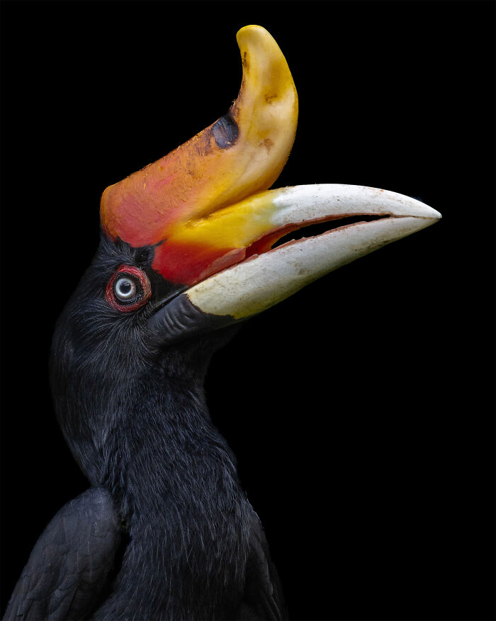 25 Winning Photos From AAP Magazine Show The Natural World In A New Light 25 Winning Photos From AAP Magazine Show The Natural World In A New Light