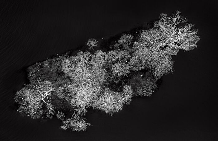 25 Winning Photos From AAP Magazine Show The Natural World In A New Light 25 Winning Photos From AAP Magazine Show The Natural World In A New Light