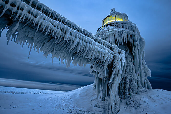 25 Winning Photos From AAP Magazine Show The Natural World In A New Light 25 Winning Photos From AAP Magazine Show The Natural World In A New Light