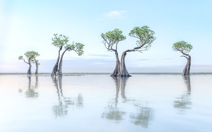 25 Winning Photos From AAP Magazine Show The Natural World In A New Light 25 Winning Photos From AAP Magazine Show The Natural World In A New Light