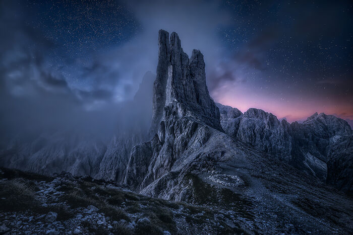25 Winning Photos From AAP Magazine Show The Natural World In A New Light 25 Winning Photos From AAP Magazine Show The Natural World In A New Light