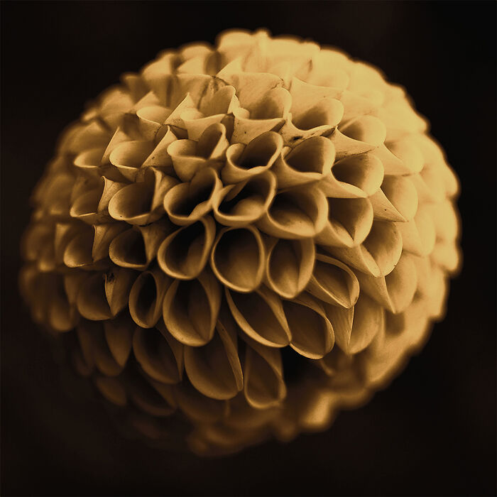 25 Winning Photos From AAP Magazine Show The Natural World In A New Light 25 Winning Photos From AAP Magazine Show The Natural World In A New Light