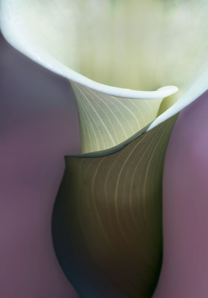 25 Winning Photos From AAP Magazine Show The Natural World In A New Light 25 Winning Photos From AAP Magazine Show The Natural World In A New Light