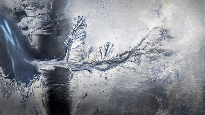 25 Winning Photos From AAP Magazine Show The Natural World In A New Light 25 Winning Photos From AAP Magazine Show The Natural World In A New Light