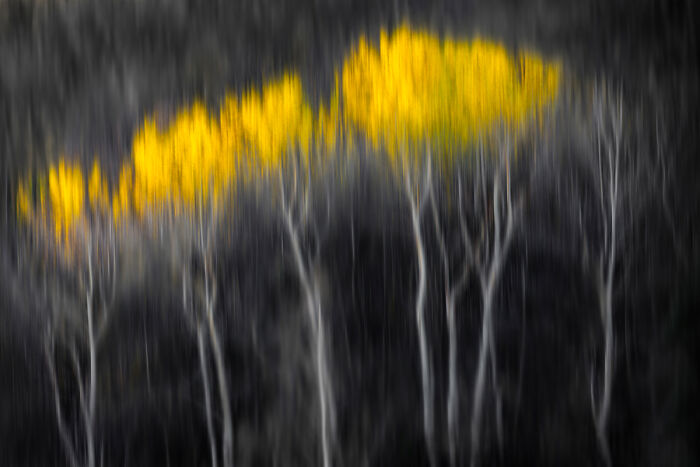 25 Winning Photos From AAP Magazine Show The Natural World In A New Light 25 Winning Photos From AAP Magazine Show The Natural World In A New Light