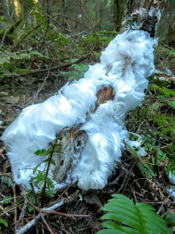 “What Happens If?”: 80 Interesting And Cool Photos Of Things You Might Not Have Seen Before