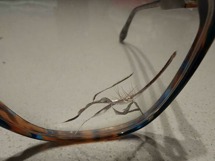 “What Happens If?”: 80 Interesting And Cool Photos Of Things You Might Not Have Seen Before
