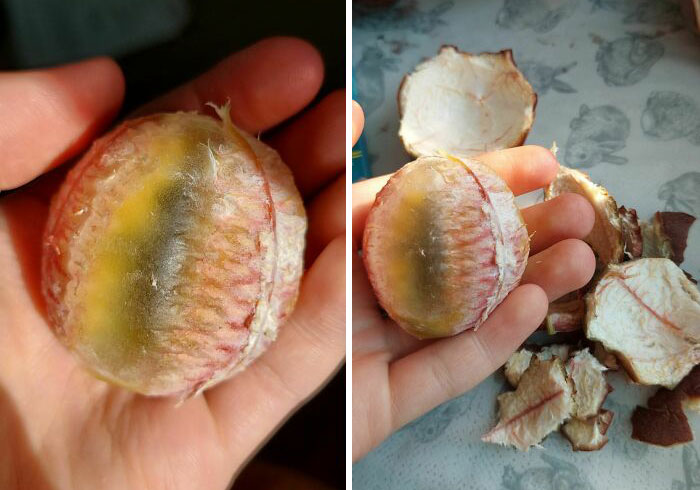 “What Happens If?”: 80 Interesting And Cool Photos Of Things You Might Not Have Seen Before