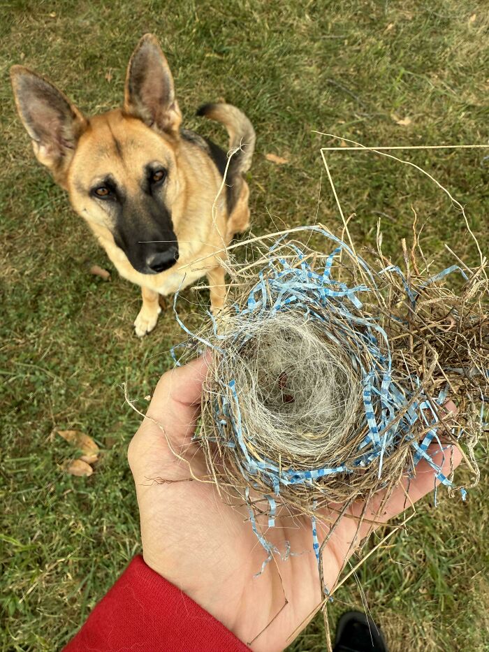 “What Happens If?”: 80 Interesting And Cool Photos Of Things You Might Not Have Seen Before