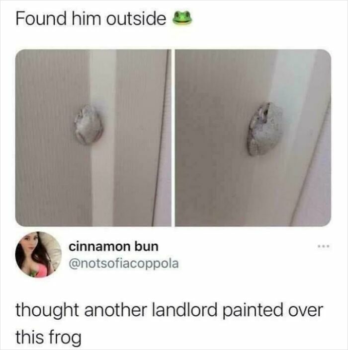 75 Renting And Booking Experiences That Had People Regretting Their Decision Almost Immediately 75 Renting And Booking Experiences That Had People Regretting Their Decision Almost Immediately