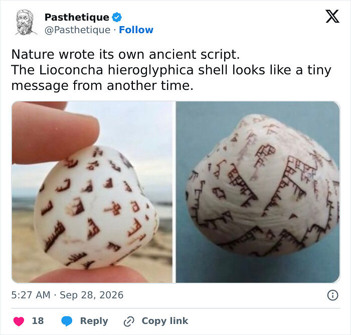 70 Aesthetic Art, History And Culture Posts That Make The Past Look Seriously Stylish