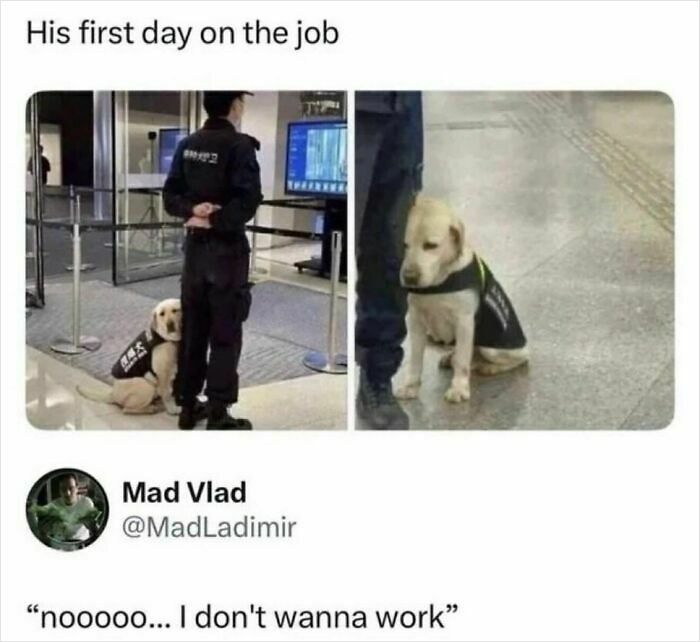When Life Gets Too Boring, These 99 Random Memes Are Here To Save The Day When Life Gets Too Boring, These 99 Random Memes Are Here To Save The Day