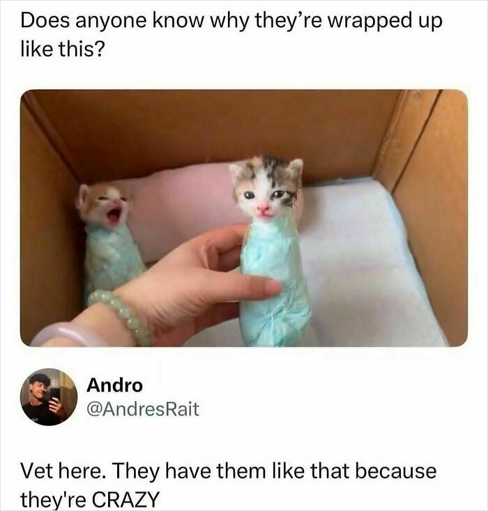 When Life Gets Too Boring, These 99 Random Memes Are Here To Save The Day When Life Gets Too Boring, These 99 Random Memes Are Here To Save The Day