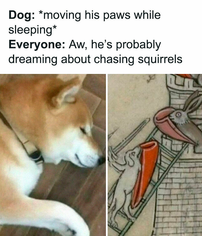 When Life Gets Too Boring, These 99 Random Memes Are Here To Save The Day When Life Gets Too Boring, These 99 Random Memes Are Here To Save The Day