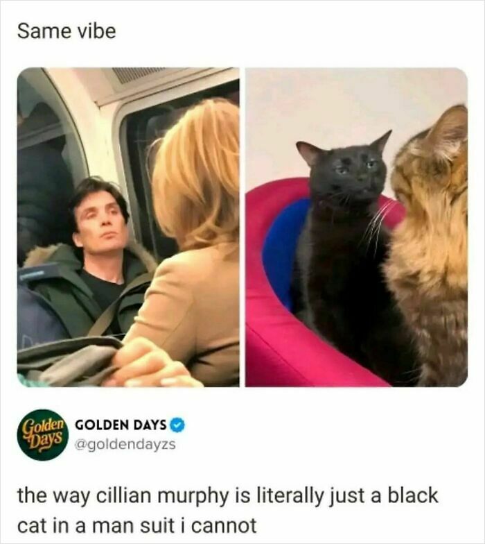 When Life Gets Too Boring, These 99 Random Memes Are Here To Save The Day When Life Gets Too Boring, These 99 Random Memes Are Here To Save The Day