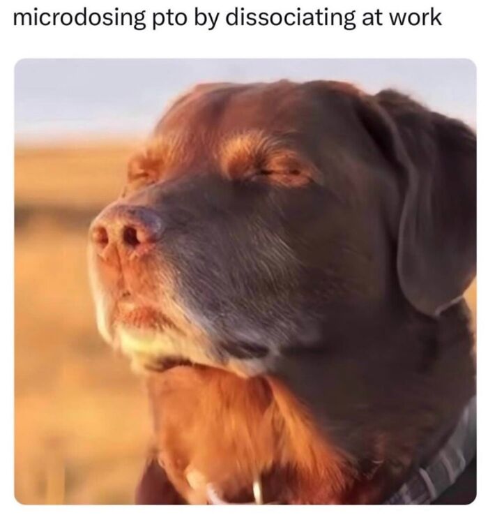 When Life Gets Too Boring, These 99 Random Memes Are Here To Save The Day When Life Gets Too Boring, These 99 Random Memes Are Here To Save The Day