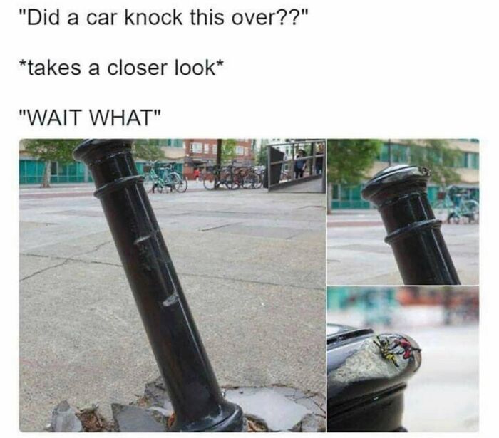 When Life Gets Too Boring, These 99 Random Memes Are Here To Save The Day When Life Gets Too Boring, These 99 Random Memes Are Here To Save The Day